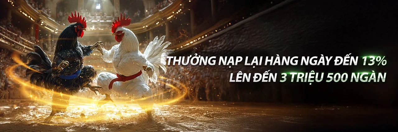 Đá Gà 67.com Sân Đấu Quyết Liệt